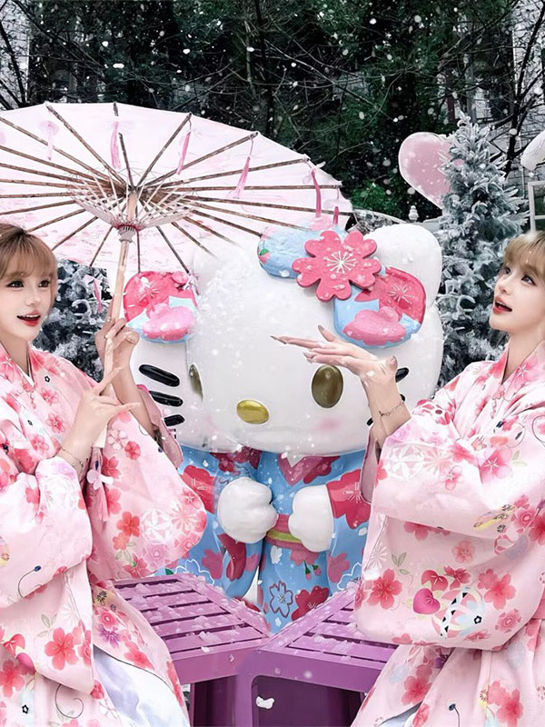 Traditioneller japanischer Kim – Ethnic Fashion Online Bewertung und Preis
